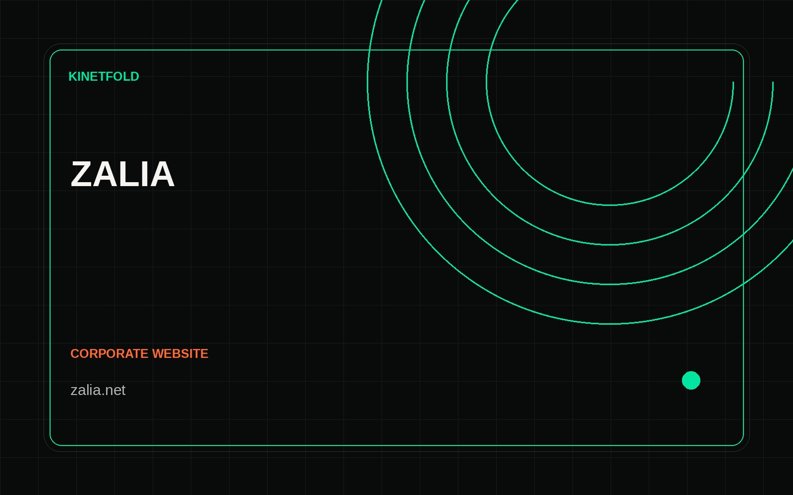 Projeto de website para Zalia — Kinetfold